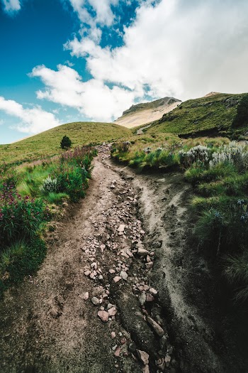 Pathway Between Green Grass Field
