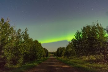pathway between inline trees under green sky phenomenon