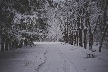 Pathway Covered In Snow 