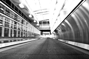 Pathway Grayscale Photo
