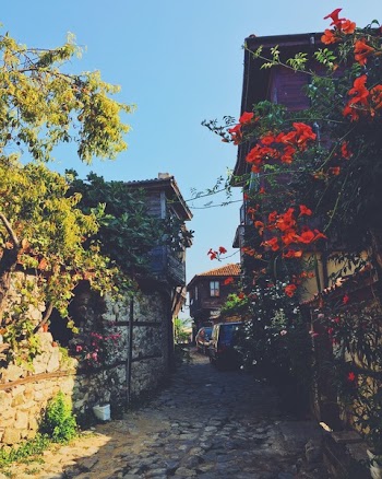 Pathway in Between Buildings With Flowers and Plants
