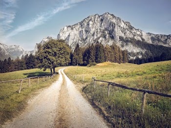 pathway in between grass fields