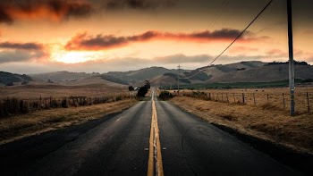 pathway near utiity pole