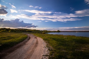 Pathway Surrounded by Grass