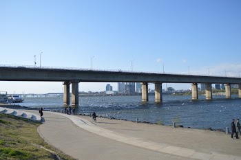 Pathway Under Concrete Bridge