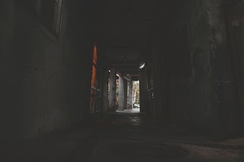 pathway with concrete wall