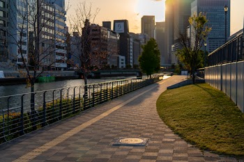 Pathway With Fences Near Body of Water