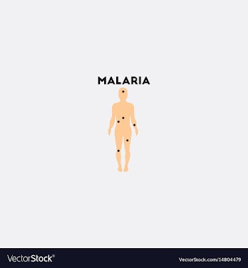 Patients point on the human body paper vector image