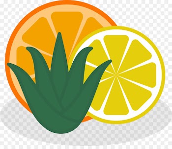 Patrick Montag Photography, Photography, Logo, Yellow, Citrus PNG