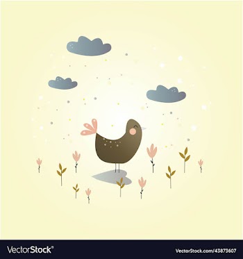 pattern applied in the form of a chicken b