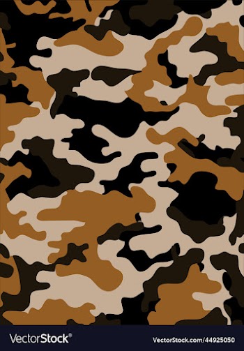 pattern background for army and military