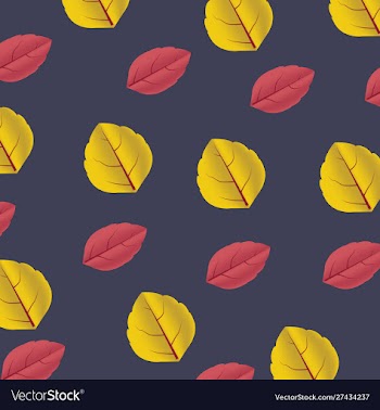 Pattern floral on navy blue background 01 vector image