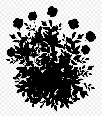 Pattern Font Silhouette Leaf Flowering plant -  