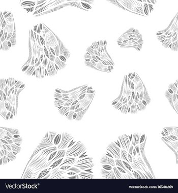Pattern in bright style vector image