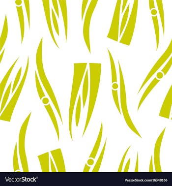 Pattern in striped style vector image