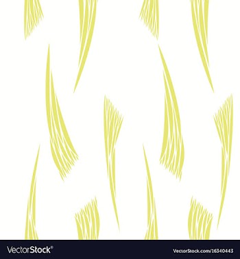 Pattern in striped style vector image