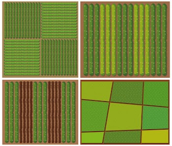 Pattern of crops from top view Free Vector