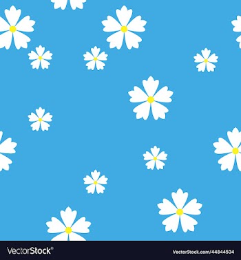 pattern of white flowers on blue background