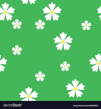 pattern of white flowers on green background