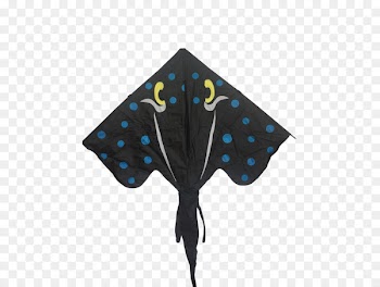 Pattern Turquoise - stable flyer 