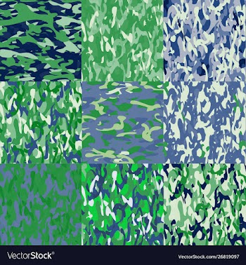 Pattern vector image