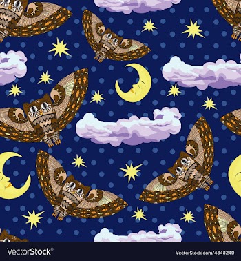 Pattern with owl and stars on a blue background vector image