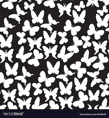 Pattern with white butterflies on a black vector image