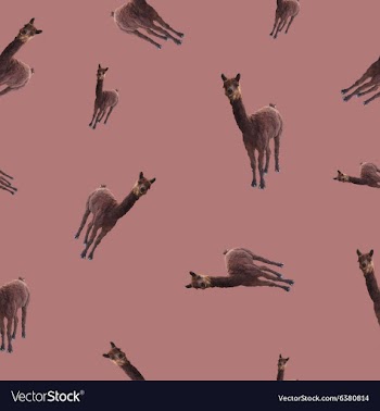 Patternseamless with the image of a llama vector image