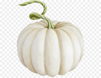Patty pan Pumpkin Gourd Image Jack-o'-lantern - talavera pumpkin 