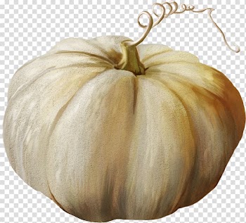 Pattypan squash Calabaza Gourd Winter squash, pumpkin transparent background PNG clipart