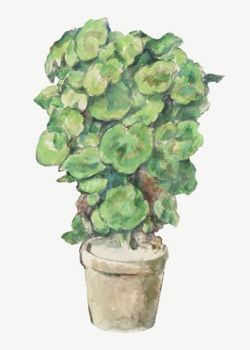 Paul Cezanne&rsquo;s Geraniums clipart, still | Free PSD Illustration - rawpixel