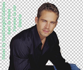 Paul Walker The Fast And The Furious Brian O'Conner Actor PNG ...