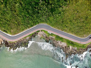 Paved Road Between Body of Water and Trees