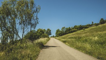 Paved Road in Between Grass Fields