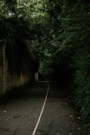 pavement between brick wall and trees