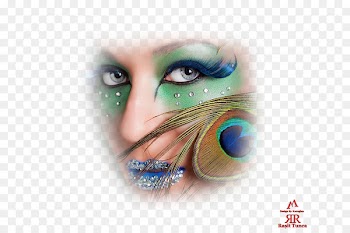 Pavo Blog Photography Feather - others 