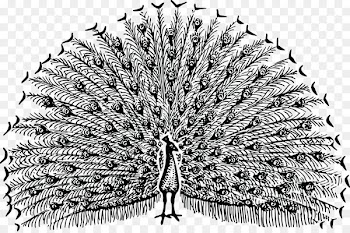 Pavo Clip art - gunungan wayang 