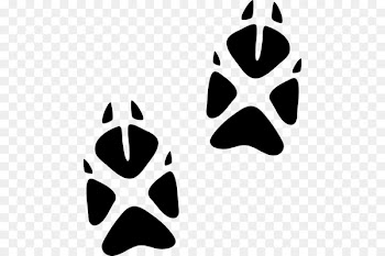 Paw Animal track Fox Cat - fox 
