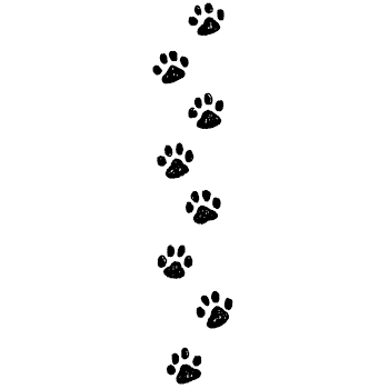Paw Print Border - DD10436