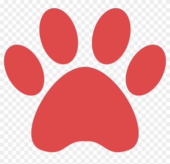 Paw Print Paw Patrol Paws