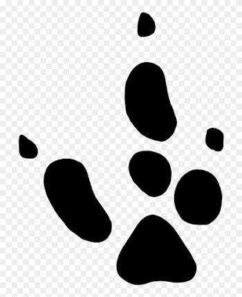 Paw Prints Red Kangaroo - Tree Kangaroo Paw Print