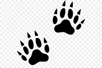 Paw Wolverine Tiger Cat Dog - animal track 
