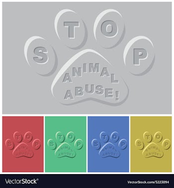 Paws vector image
