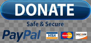 Paypal Donate Button Png Image