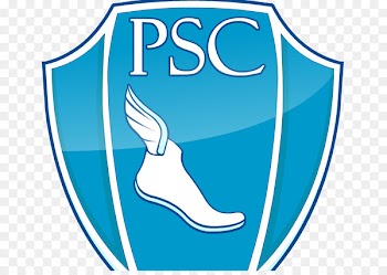 Paysandu Sport Club Video Games Sports Board game - adriano badge 