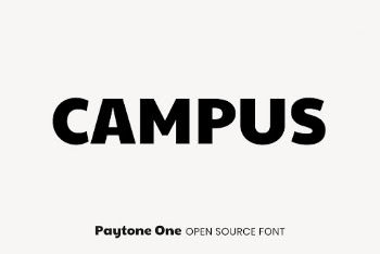 Paytone One open source font | Free Font Add-on - rawpixel