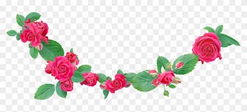 Paz En La Tormenta - Garden Roses