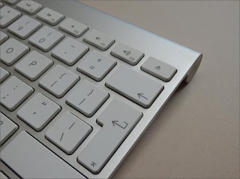 PB11205B.jpg