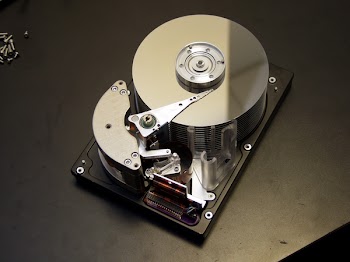 PB205984.JPG