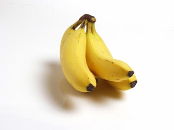 PB272556.jpg